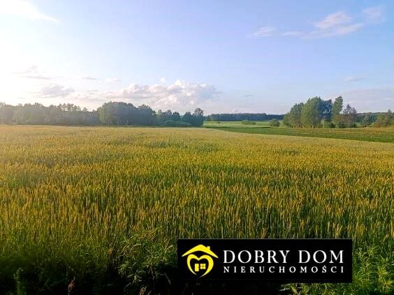 Działka rolna Wasilków