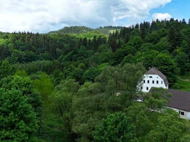 Dom Unisław Śląski