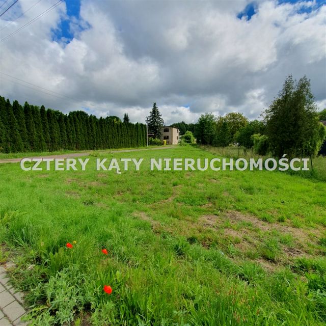 Zdjęcie 3