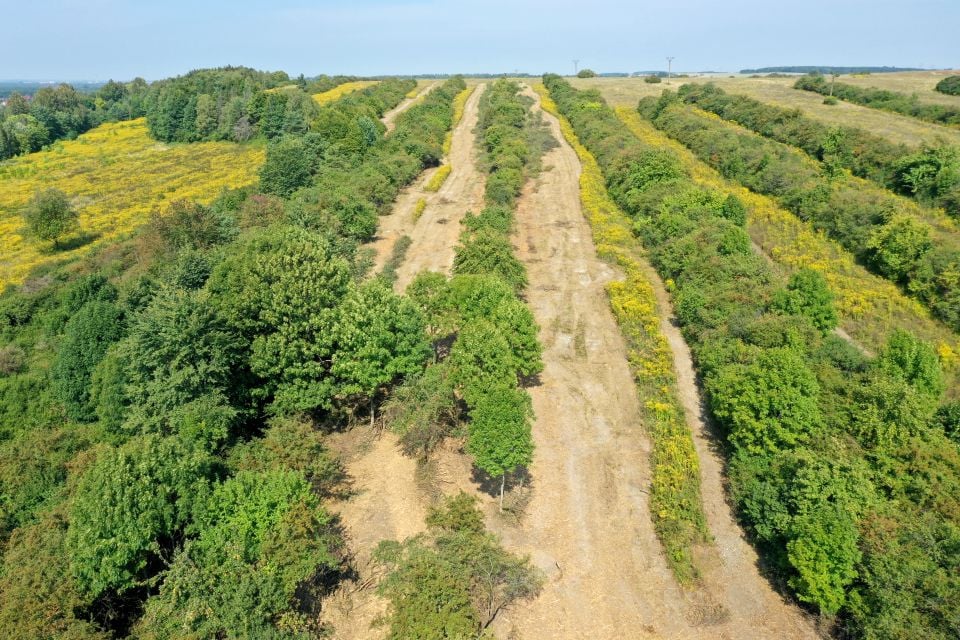 Działka rolna Ogrodzieniec sprzedam