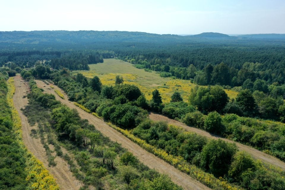 Działka rolna Ogrodzieniec