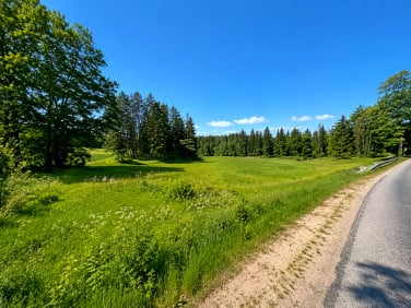Działka usługowa Mojusz