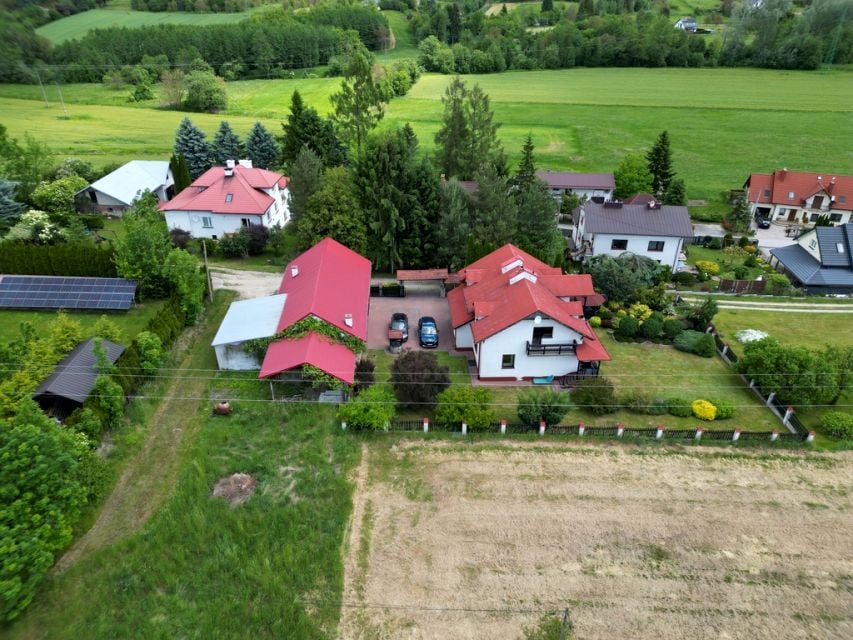 Zdjęcie 3
