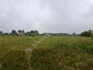 Działka Kozery Nowe