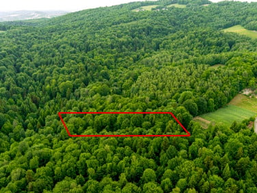 Działka leśna Siemiechów