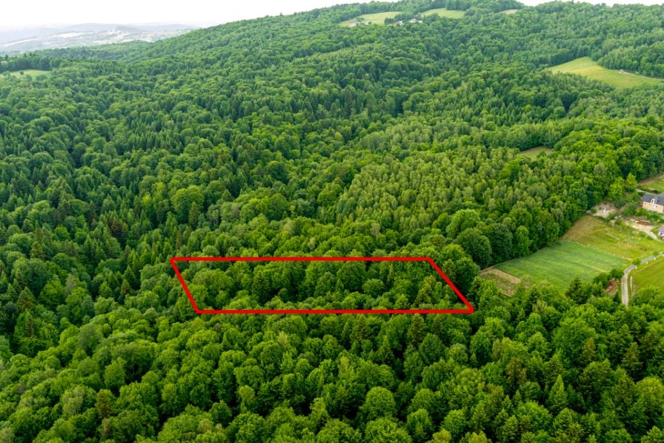 Działka leśna Siemiechów