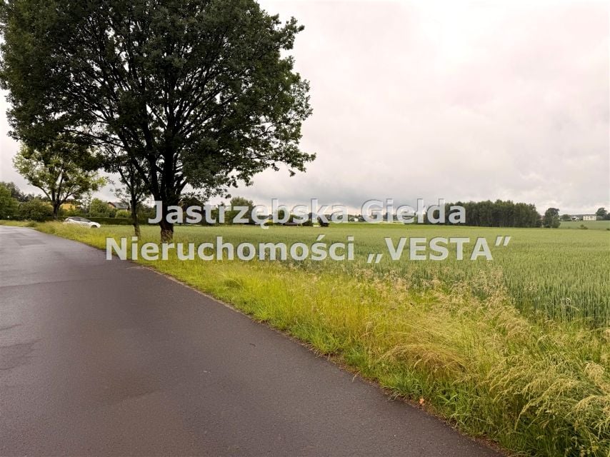 Działka budowlana Jastrzębie-Zdrój