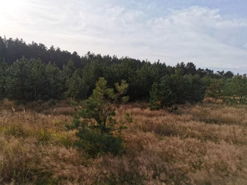 Działka siedliskowa Staniewice