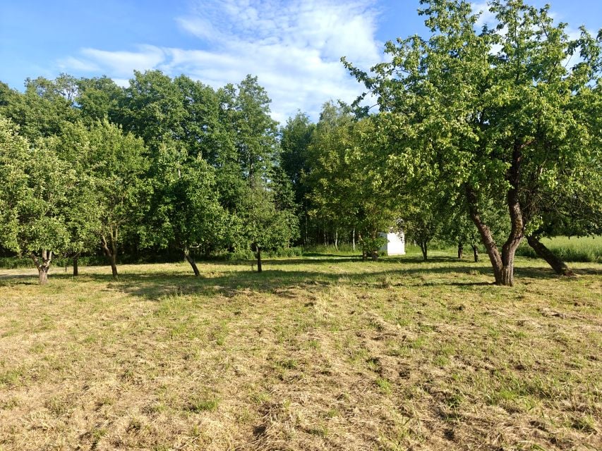 Działka rolna Wysoka
