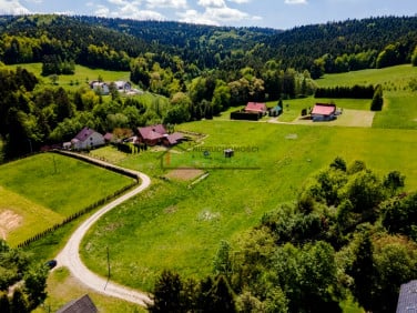 Działka leśna Chełmiec