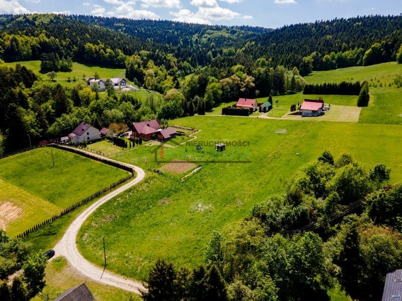 Działka leśna Chełmiec