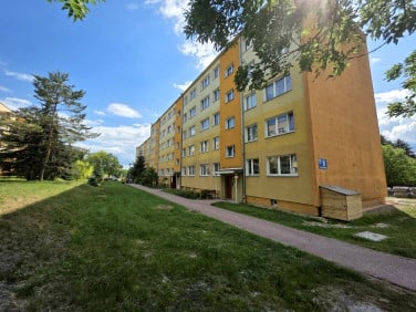 Mieszkanie Chełm