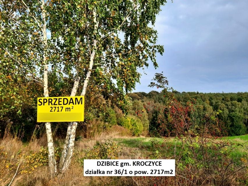 Działka budowlano-rolna Dzibice