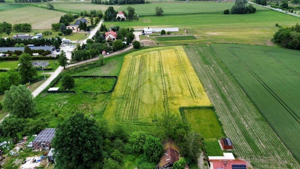Zdjęcie 2