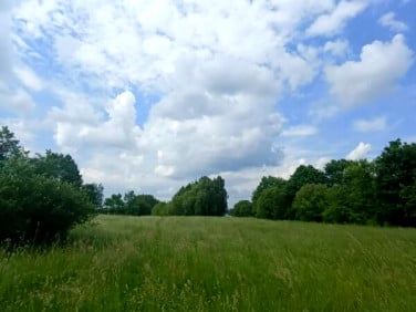 Działka inna Świerzowa Polska
