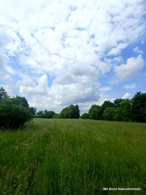 Działka inna Świerzowa Polska