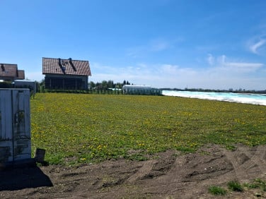 Działka budowlana Wierzbno sprzedam