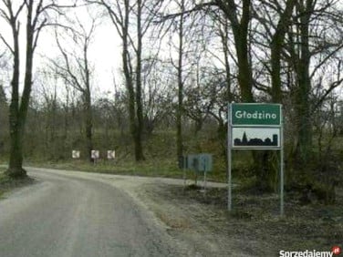 Działka rolna Głodzino