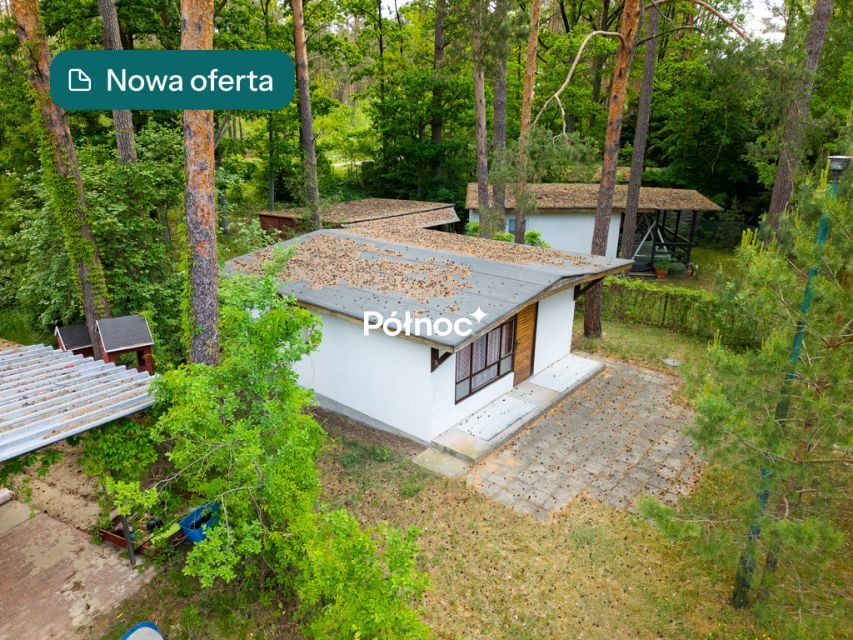Działka Ptaki
