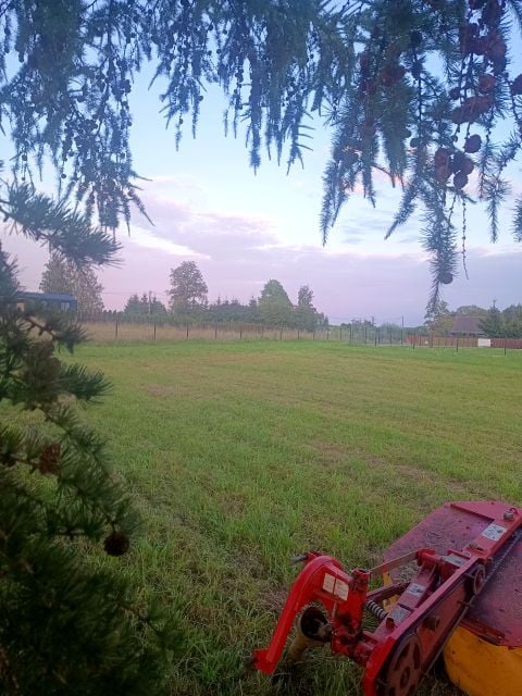 Działka siedliskowa Stręgiel