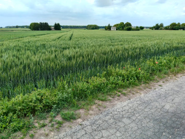 Działka budowlana janówek