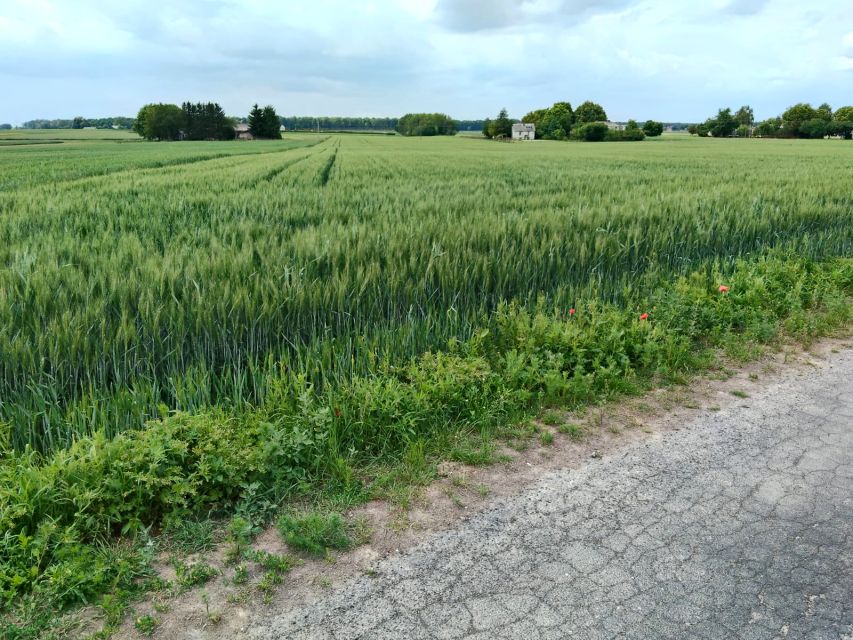 Działka budowlana janówek