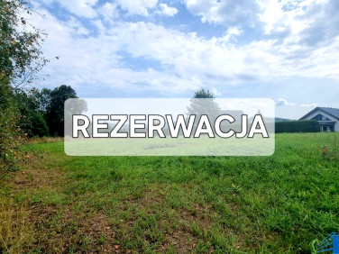 Działka MSZALNICA