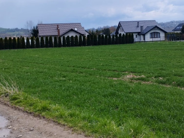 Działka Nieszkowice Małe