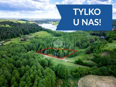 Dom Nowogród