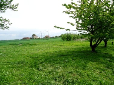 Działka przemysłowa Świdnik sprzedam