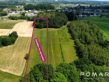 Działka Rzuchów