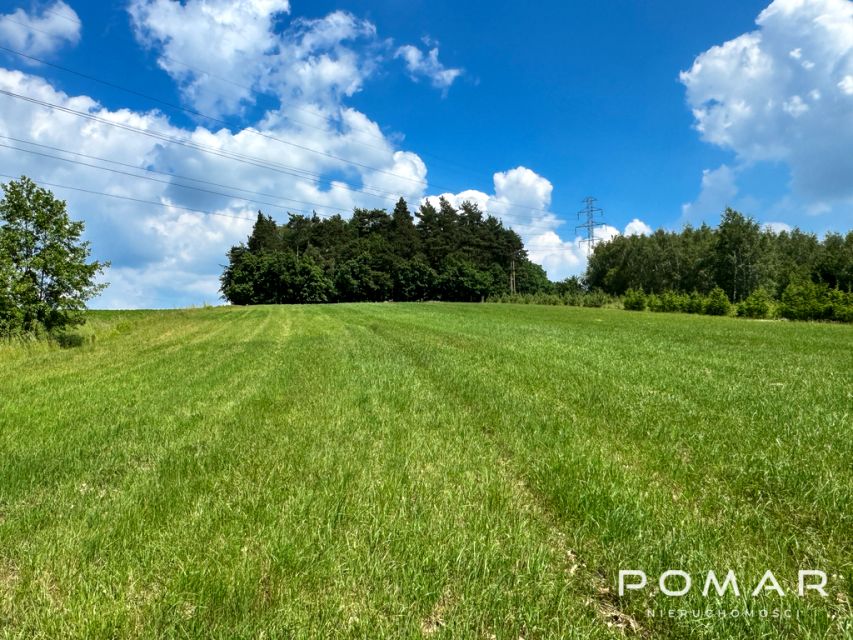 Działka rolna Rzuchów
