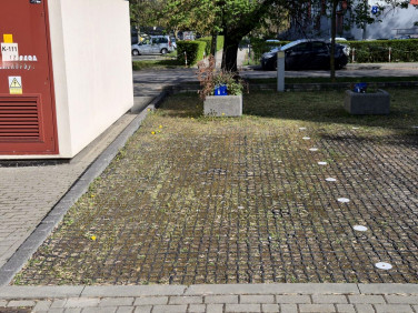 Lokal Lublin
