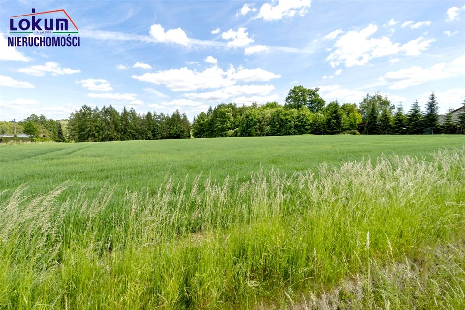 Działka Dębowiec