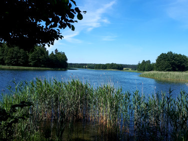 Działka rolna Dobra Wola