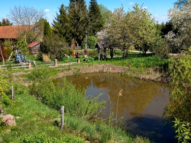 Budynek użytkowy Borki