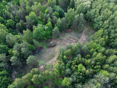 Działka Łódź