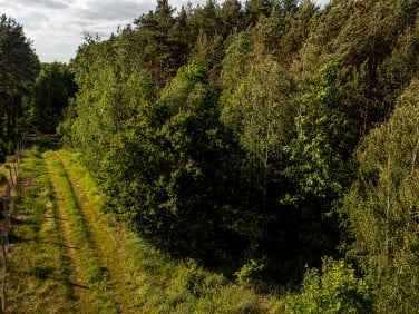 Działka Kuriany
