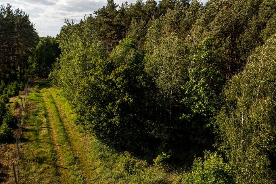 Działka Kuriany