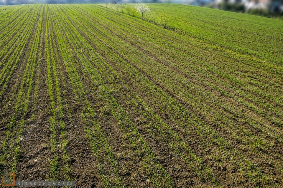 Działka budowlana Kraków