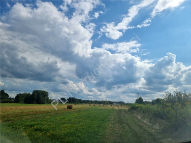 Działka Dobczyn