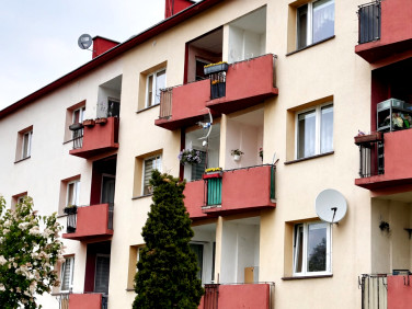 Mieszkanie Siechnice