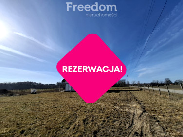 Dom Dziektarzew