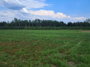 Działka inna Kamionka
