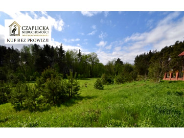 Działka Gołubie