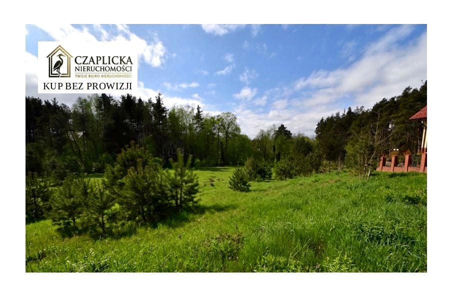 Działka Gołubie