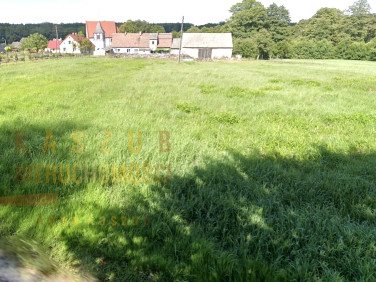 Działka budowlana Biedrzychowice Dolne