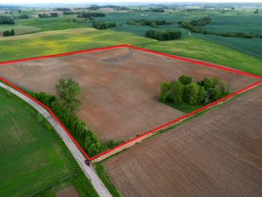 Działka siedliskowa Iwaśki