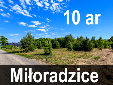 Działka budowlana Miłoradzice
