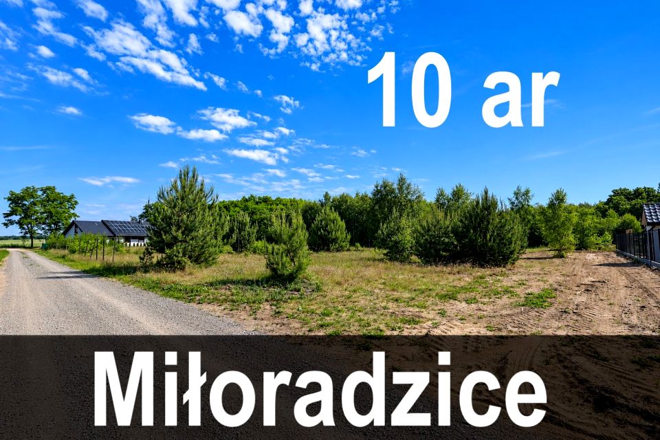 Działka budowlana Miłoradzice